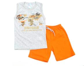 Conjunto inf regata