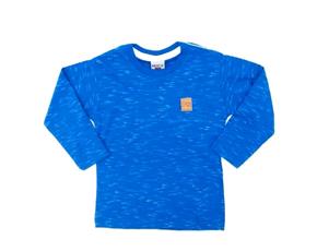 Camiseta masc m/longa