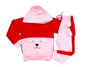 Conjunto fem moletom