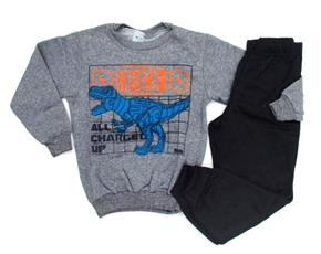 Conjunto inf moletom