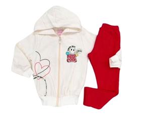 Conjunto fem moletom