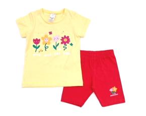 Conjunto fem m/curta