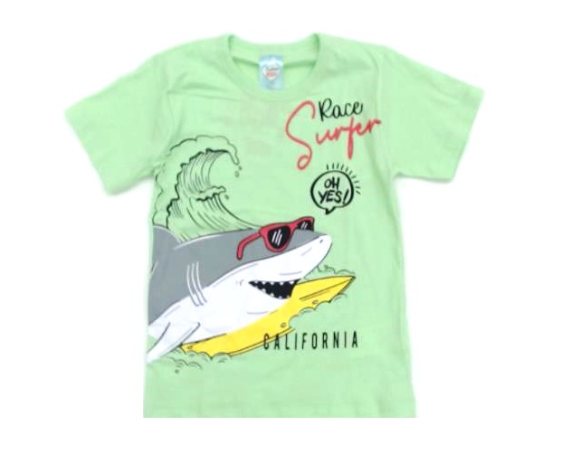 Camiseta Fashionkids Inf Masc M/c Malha