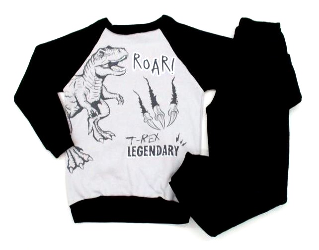 Conjunto Fashionkids Inf Masc Mol