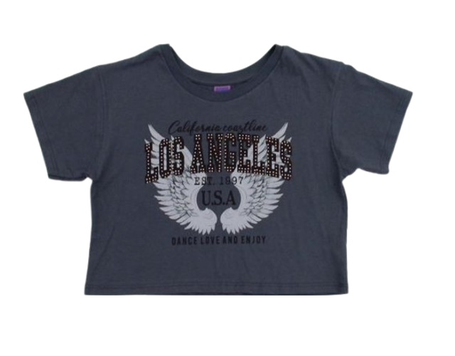 Blusa Florenzza Juvenil Feminina Manga Curta Malha Cropped