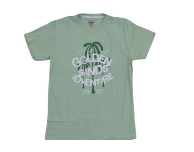 Camiseta Desayner Juvenil  Manga Curta Malha