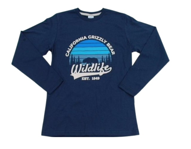 Camiseta Zhor Juvenil Masculina Manga Longa Malha