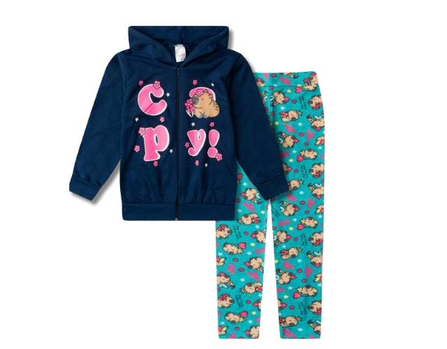 Conjunto Anale Infantil Feminina Moletom Capuz Legging