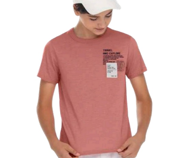 Camiseta Lecimar Juvenil Masculina Manga Curta Malha Flamê