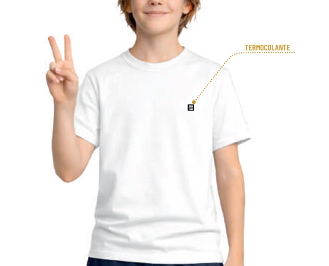 Camiseta Desayner Juvenil Masculina Manga Curta Malha
